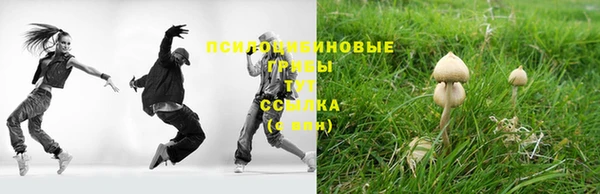 спайс Пересвет