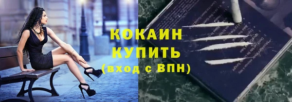 спайс Пересвет