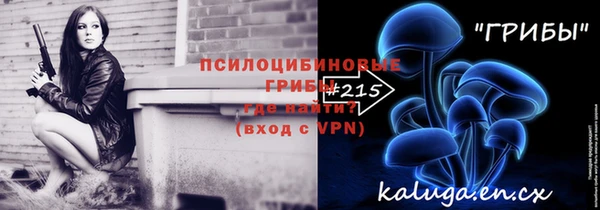mdpv Переславль-Залесский
