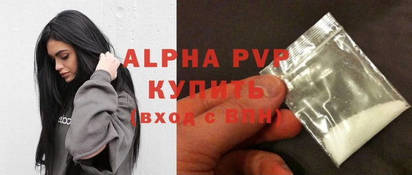 спайс Пересвет