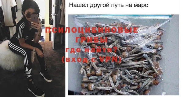 mdpv Переславль-Залесский