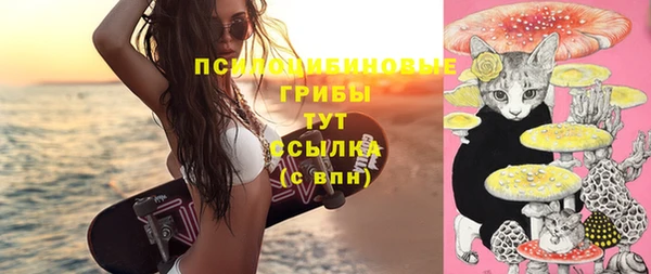 jwh Пестово