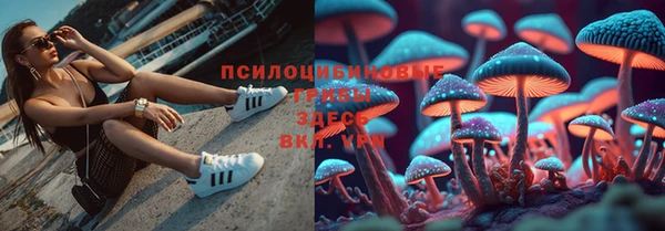 mdpv Переславль-Залесский