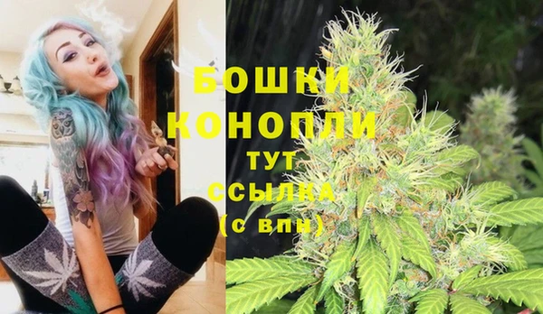 спайс Пересвет