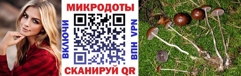 дарк нет формула  Янаул  Галлюциногенные грибы Magic Shrooms 